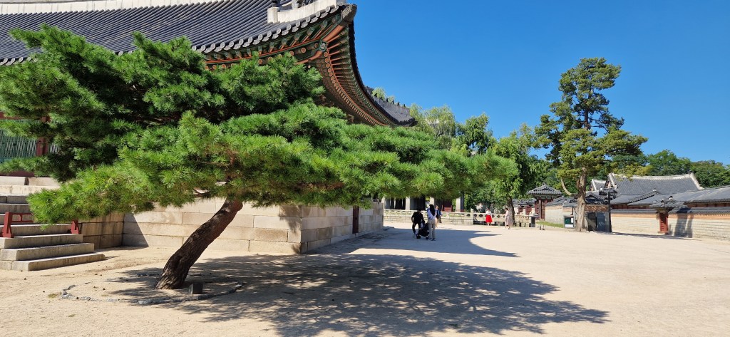 On Film: Gyeongbokgung Palace&nbsp;🇰🇷